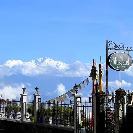 Hotel Muscatel Nirvana - At The Mall Road Darjeeling  Esterno foto